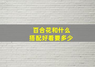 百合花和什么搭配好看要多少