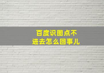 百度识图点不进去怎么回事儿