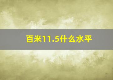 百米11.5什么水平