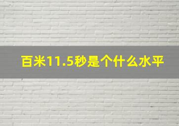 百米11.5秒是个什么水平