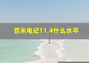 百米电记11.4什么水平