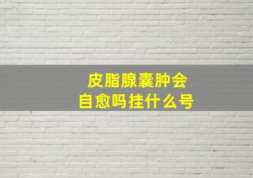 皮脂腺囊肿会自愈吗挂什么号