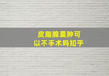 皮脂腺囊肿可以不手术吗知乎