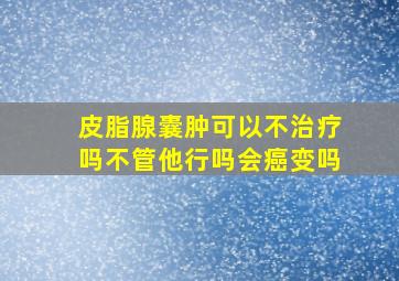 皮脂腺囊肿可以不治疗吗不管他行吗会癌变吗