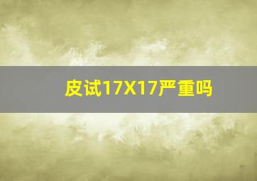 皮试17X17严重吗