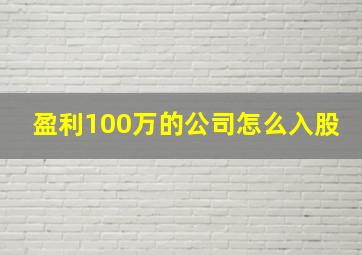 盈利100万的公司怎么入股