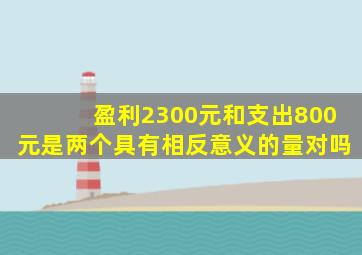 盈利2300元和支出800元是两个具有相反意义的量对吗