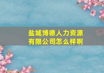 盐城博德人力资源有限公司怎么样啊