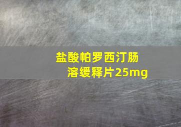 盐酸帕罗西汀肠溶缓释片25mg