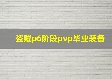 盗贼p6阶段pvp毕业装备