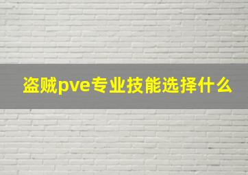 盗贼pve专业技能选择什么