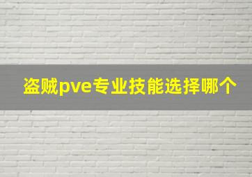 盗贼pve专业技能选择哪个