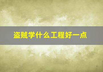 盗贼学什么工程好一点