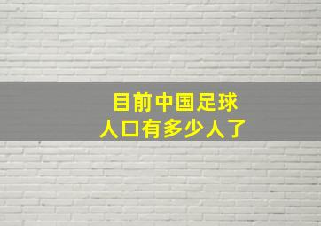 目前中国足球人口有多少人了