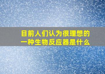 目前人们认为很理想的一种生物反应器是什么