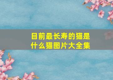 目前最长寿的猫是什么猫图片大全集