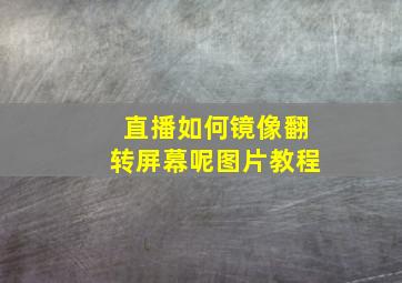 直播如何镜像翻转屏幕呢图片教程