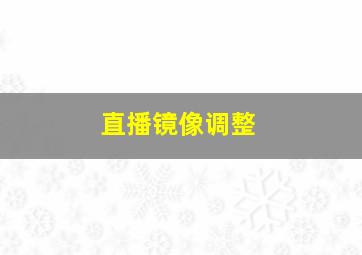 直播镜像调整