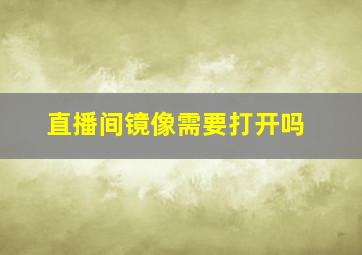 直播间镜像需要打开吗