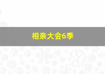 相亲大会6季