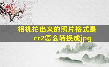 相机拍出来的照片格式是cr2怎么转换成jpg