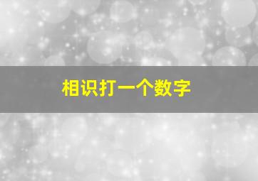 相识打一个数字