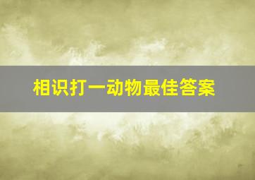 相识打一动物最佳答案