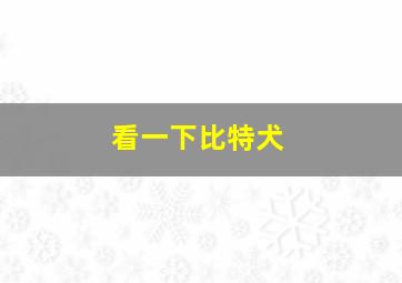 看一下比特犬