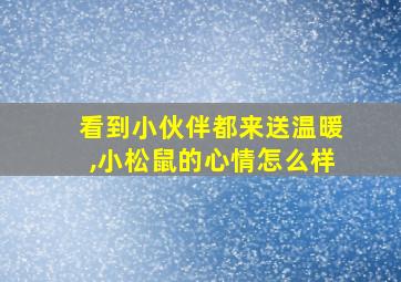 看到小伙伴都来送温暖,小松鼠的心情怎么样