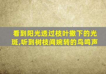 看到阳光透过枝叶撒下的光斑,听到树枝间婉转的鸟鸣声