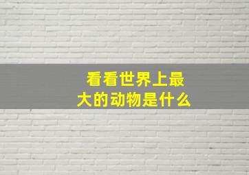 看看世界上最大的动物是什么