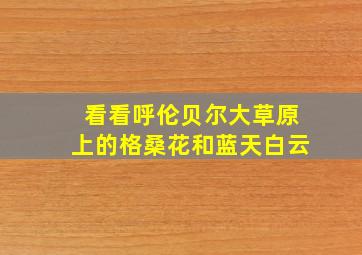 看看呼伦贝尔大草原上的格桑花和蓝天白云