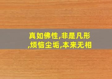 真如佛性,非是凡形,烦恼尘垢,本来无相