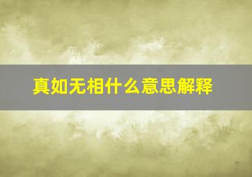 真如无相什么意思解释