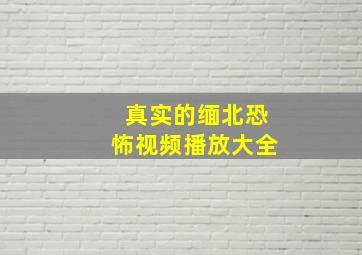 真实的缅北恐怖视频播放大全