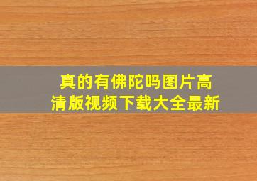 真的有佛陀吗图片高清版视频下载大全最新