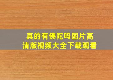 真的有佛陀吗图片高清版视频大全下载观看