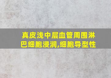 真皮浅中层血管周围淋巴细胞浸润,细胞导型性