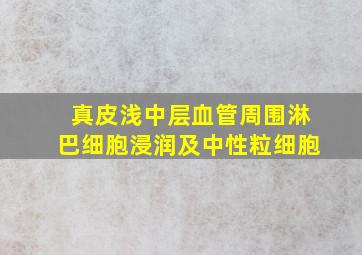 真皮浅中层血管周围淋巴细胞浸润及中性粒细胞