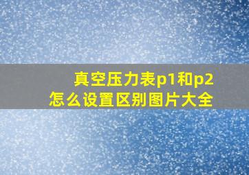 真空压力表p1和p2怎么设置区别图片大全