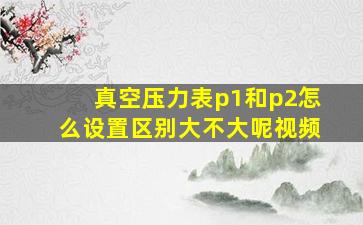 真空压力表p1和p2怎么设置区别大不大呢视频