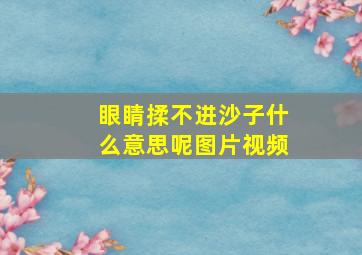 眼睛揉不进沙子什么意思呢图片视频