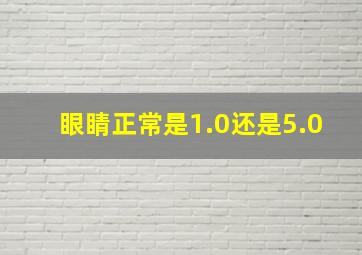 眼睛正常是1.0还是5.0