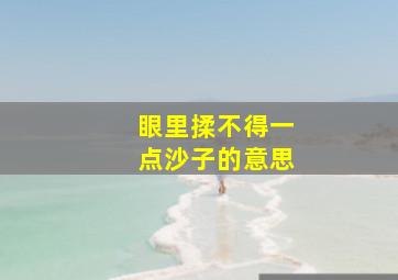 眼里揉不得一点沙子的意思