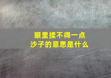 眼里揉不得一点沙子的意思是什么