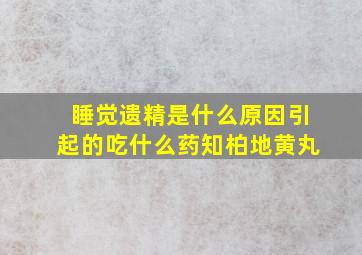 睡觉遗精是什么原因引起的吃什么药知柏地黄丸