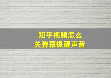 知乎视频怎么关弹幕提醒声音