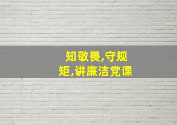 知敬畏,守规矩,讲廉洁党课