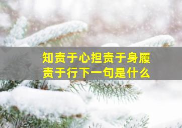 知责于心担责于身履责于行下一句是什么