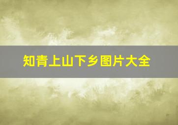 知青上山下乡图片大全